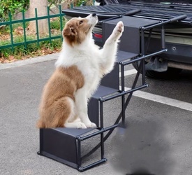 SKŁADANE SCHODY DLA PSA ZDROWIE I KOMFORT PUPILA